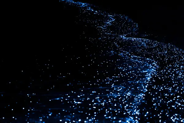 Das glühende Plankton