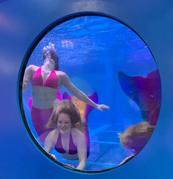 The hit of last year was apparently swimming courses in mermaiding