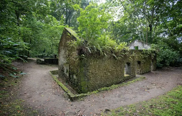Ruins of a rum distillery on the island of Martinique
