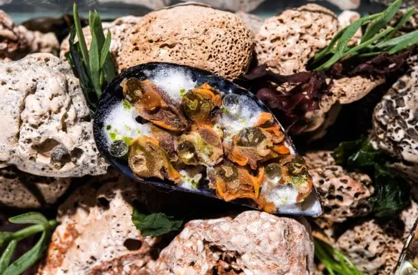 Menu Boksinac (zdroj: https://www.boskinac.com)