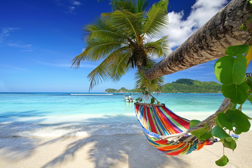 Hängematte oder Hängematte, die an einer Palme am Strand einer exotischen Insel hängt.